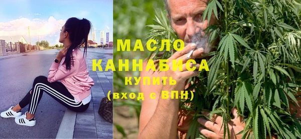 хмурый Дмитровск