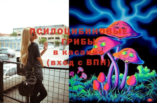 таблы Дмитров
