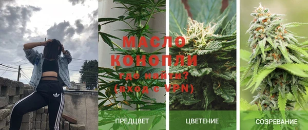 хмурый Дмитровск