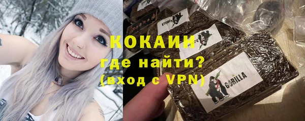 хмурый Дмитровск
